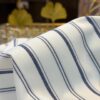 Pure White with Navy Blue Stripes